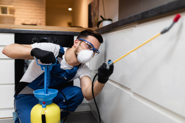 Best Pest Control Near Me in Roselle Park, NJ