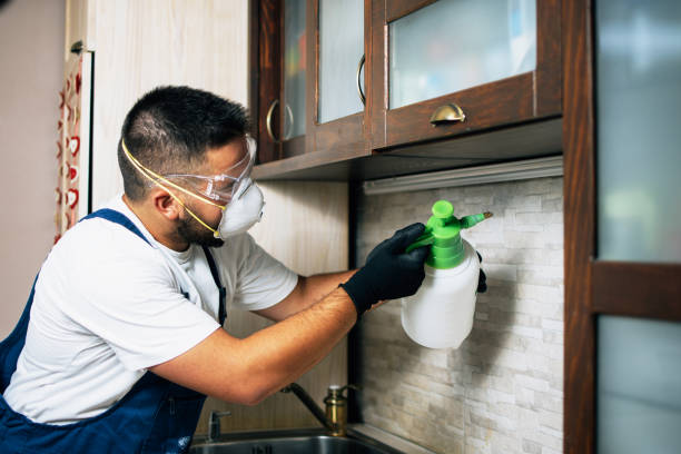  Roselle Park, NJ Pest Control Pros