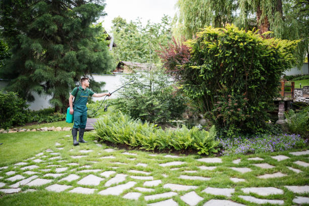 Best Insect Control  in Roselle Park, NJ