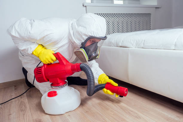Best Emergency Pest Control  in Roselle Park, NJ