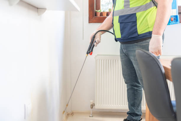 Best Pest Control for Homes  in Roselle Park, NJ
