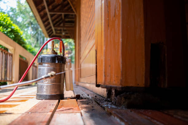 Best Wasp Removal Services  in Roselle Park, NJ