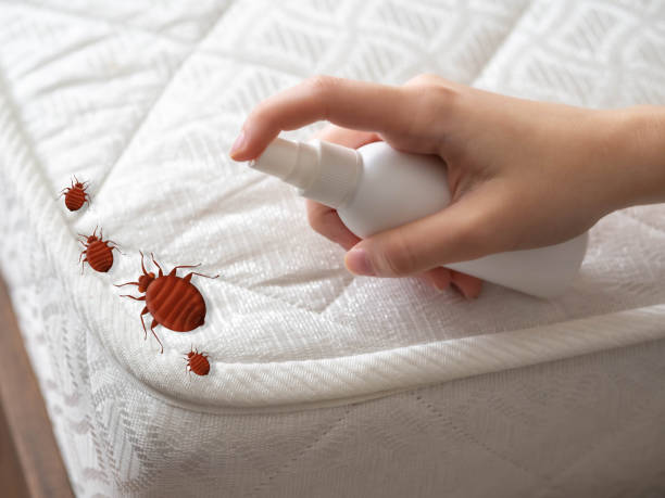 Best Affordable Pest Control Services  in Roselle Park, NJ