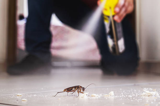 Best Flea Control Services  in Roselle Park, NJ