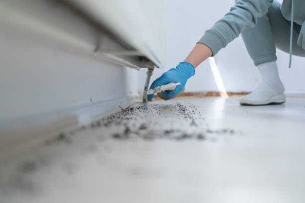 Professional Pest Control in Roselle Park, NJ