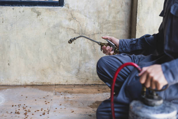 Best Best Pest Control Companies  in Roselle Park, NJ